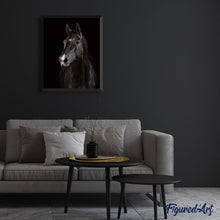 Carica l'immagine nel visualizzatore di Gallery, Dipingere con i numeri - Cavallo Nero