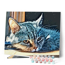 Carica l'immagine nel visualizzatore di Gallery, Dipingere con i numeri - Gatto Americano A Pelo Corto Figured'Art