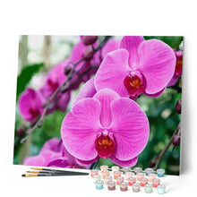 Carica l'immagine nel visualizzatore di Gallery, Dipingere con i numeri - Orchidea Figured'Art