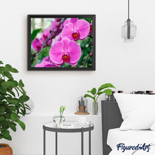 Carica l'immagine nel visualizzatore di Gallery, Dipingere con i numeri - Orchidea