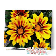 Carica l'immagine nel visualizzatore di Gallery, Dipingere con i numeri - Fiori Gialli Figured'Art