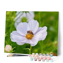 Carica l'immagine nel visualizzatore di Gallery, Dipingere con i numeri - Api E Fiori Figured'Art