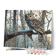 Carica l'immagine nel visualizzatore di Gallery, Dipingere con i numeri - Gufo Nella Foresta Figured'Art