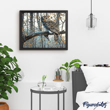 Carica l'immagine nel visualizzatore di Gallery, Dipingere con i numeri - Gufo Nella Foresta