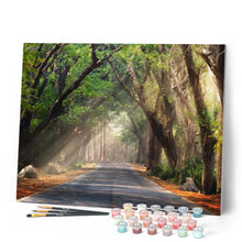 Carica l'immagine nel visualizzatore di Gallery, Dipingere con i numeri - Strada Nel Bosco Figured'Art