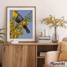 Carica l'immagine nel visualizzatore di Gallery, Dipingere con i numeri - Uccello Giallo