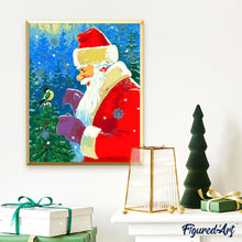 Carica l'immagine nel visualizzatore di Gallery, Dipingere con i numeri - Babbo Natale Con Uccellino
