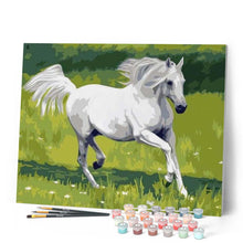 Carica l'immagine nel visualizzatore di Gallery, Dipingere con i numeri - Cavallo Bianco Nel Campo Figured'Art