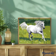 Carica l'immagine nel visualizzatore di Gallery, Dipingere con i numeri - Cavallo Bianco Nel Campo