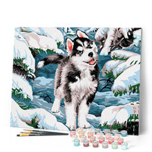 Carica l'immagine nel visualizzatore di Gallery, Dipingere con i numeri - Husky nella neve Figured'Art