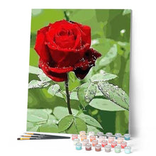 Carica l'immagine nel visualizzatore di Gallery, Dipingere con i numeri - Rosa Rossa E Goccia D'Acqua Figured'Art