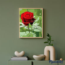 Carica l'immagine nel visualizzatore di Gallery, Dipingere con i numeri - Rosa Rossa E Goccia D'Acqua