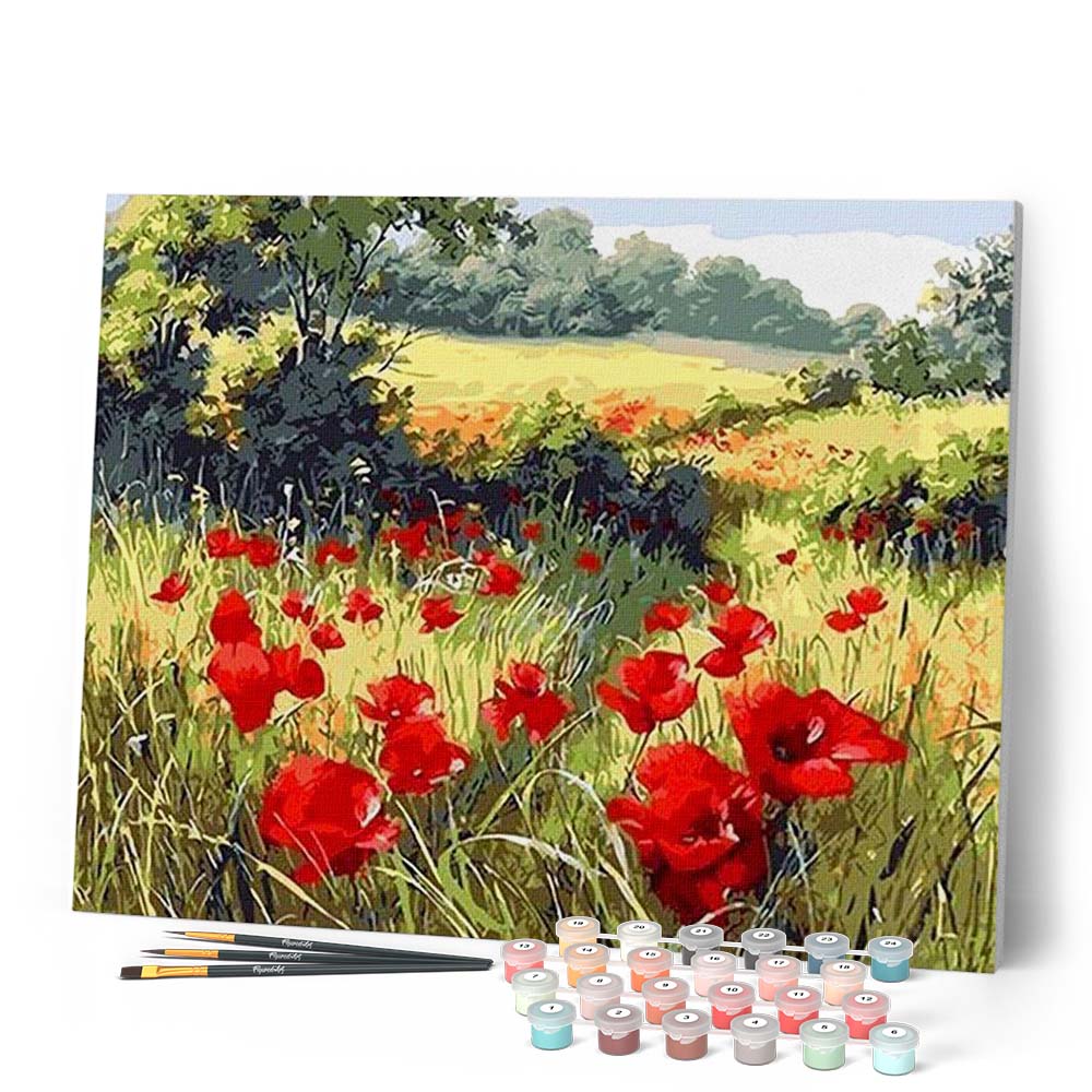 Dipingere con i Numeri Adulti,La notte dei papaveri Pittura di Numeri a Olio Fai da Te kit di pittura acrilica per adulti Bambini,Con Pennelli e Colori Acrilici per casa Decor con Telaio,30x40cm
