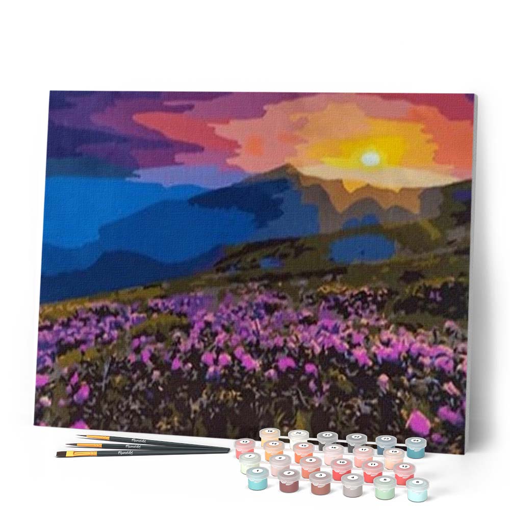 SULISO Dipingere con i Numeri per Adulti Bambini Principianti, Paint by SULISO Dipingere con i Numeri per Adulti Bambini Principianti, Paint by