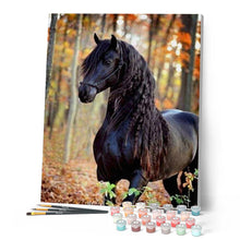 Carica l'immagine nel visualizzatore di Gallery, Dipingere con i numeri - Grazioso cavallo nero Figured'Art