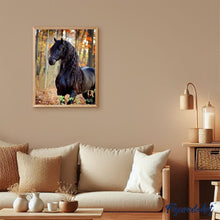 Carica l'immagine nel visualizzatore di Gallery, Dipingere con i numeri - Grazioso cavallo nero