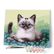 Carica l'immagine nel visualizzatore di Gallery, Dipingere con i numeri - Gattino E Fiori Figured'Art