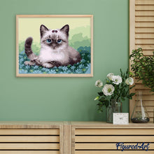 Carica l'immagine nel visualizzatore di Gallery, Dipingere con i numeri - Gattino E Fiori