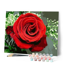 Carica l'immagine nel visualizzatore di Gallery, Dipingere con i numeri - Rosa Rossa Figured'Art