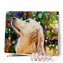 Carica l'immagine nel visualizzatore di Gallery, Dipingere con i numeri - Cane e luci di Natale Figured'Art