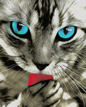 Carica l'immagine nel visualizzatore di Gallery, Dipingere con i numeri - Lo sguardo del gatto