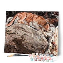 Carica l'immagine nel visualizzatore di Gallery, Dipingere con i numeri - Lince Figured'Art