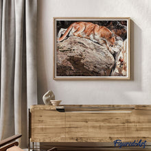 Carica l'immagine nel visualizzatore di Gallery, Dipingere con i numeri - Lince