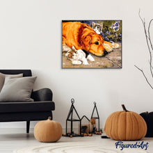 Carica l'immagine nel visualizzatore di Gallery, Dipingere con i numeri - Gatti E Cani