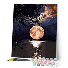 Carica l'immagine nel visualizzatore di Gallery, Dipingere con i numeri - Riflessi della luna sul lago Figured'Art