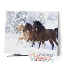 Carica l'immagine nel visualizzatore di Gallery, Dipingere con i numeri - Cavalli Nella Neve D'Inverno Figured'Art