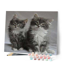 Carica l'immagine nel visualizzatore di Gallery, Dipingere con i numeri - Gatti Carini Figured'Art