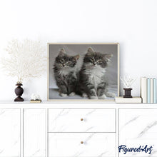 Carica l'immagine nel visualizzatore di Gallery, Dipingere con i numeri - Gatti Carini