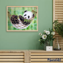 Carica l'immagine nel visualizzatore di Gallery, Dipingere con i numeri - Panda Ed Amaca