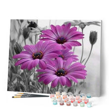 Carica l'immagine nel visualizzatore di Gallery, Dipingere con i numeri - Margherite Viola Figured'Art