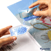 Carica l&#39;immagine nel visualizzatore di Gallery, Diamond Painting - Farfalla in Cerca di Nettare 40x50cm tela già incorniciata