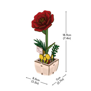 Puzzle 3D - Camelia
