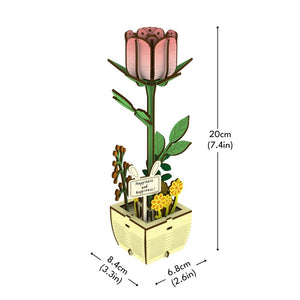 Puzzle 3D - La Rosa