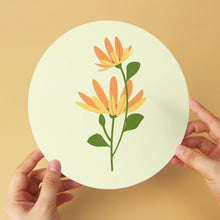 Carica l'immagine nel visualizzatore di Gallery, Mini Set Dipingere con i Numeri - Dischi di Ø20cm (6 pezzi) - Petali Colorati