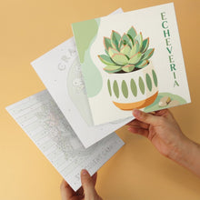 Carica l'immagine nel visualizzatore di Gallery, Mini Set Dipingere con i Numeri 20x20cm (6 pezzi) - Giardino di Succulente