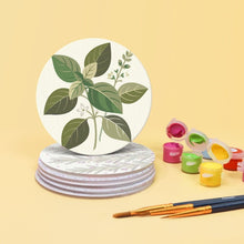 Carica l'immagine nel visualizzatore di Gallery, Set di 6 Sottobicchieri da Dipingere con i numeri (10cm diametro) - Erbe aromatiche