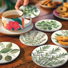 Carica l'immagine nel visualizzatore di Gallery, Set di 6 Sottobicchieri da Dipingere con i numeri (10cm diametro) - Erbe aromatiche