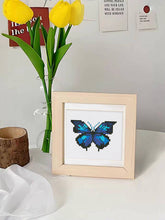 Carica l&#39;immagine nel visualizzatore di Gallery, Mini Set Diamond Painting - Farfalle