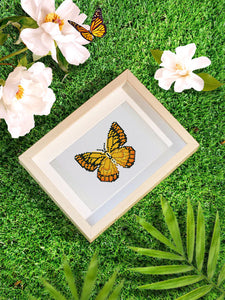 Mini Set Diamond Painting - Farfalle 2