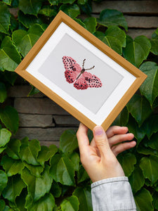 Mini Set Diamond Painting - Farfalle 2