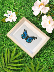 Mini Set Diamond Painting - Farfalle 2