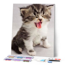 Carica l'immagine nel visualizzatore di Gallery, Diamond Painting - Gattino Carino