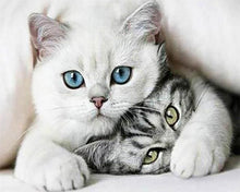 Carica l'immagine nel visualizzatore di Gallery, Diamond Painting - Gatti Amici
