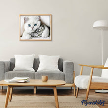 Carica l'immagine nel visualizzatore di Gallery, Diamond Painting - Gatti Amici