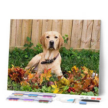 Carica l'immagine nel visualizzatore di Gallery, Diamond Painting - Labrador
