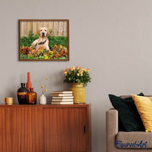 Carica l'immagine nel visualizzatore di Gallery, Diamond Painting - Labrador